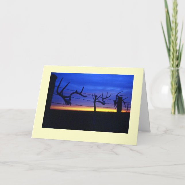 Cartão "Antlers #2" (Frente)