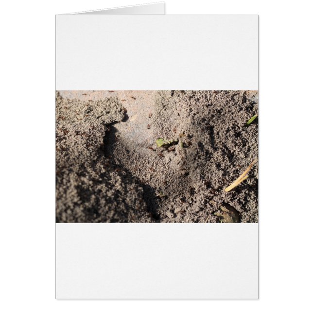 Cartão Ants Go Marching (Frente)