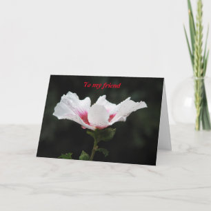 Cartão Ao meu amigo