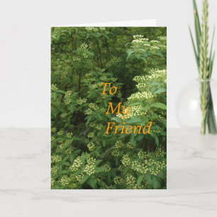 Cartão Ao Meu Amigo