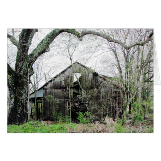 Cartão Ao redor do canto (Frente Horizontal)