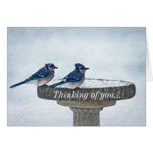 Cartão Ao Seu Lado Através Da Tempestade Pensando Em Você