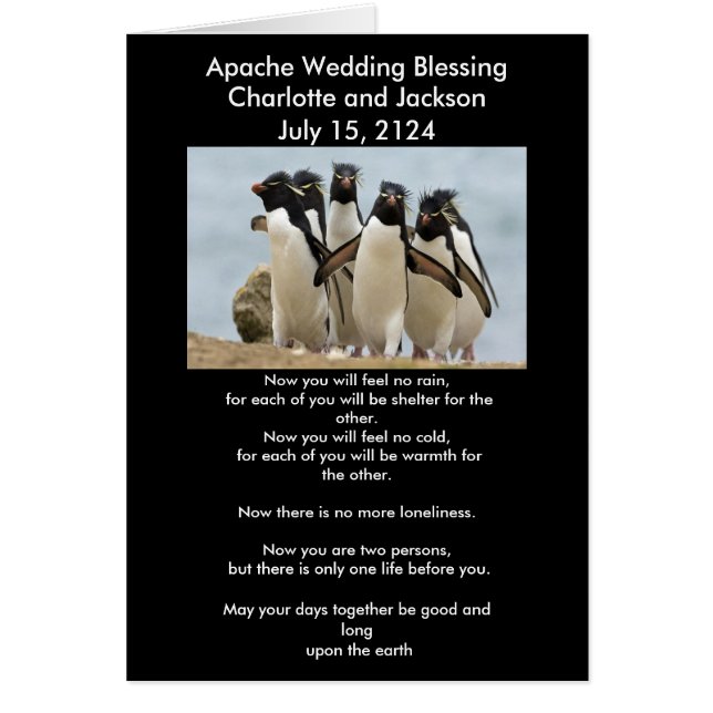 Cartão Apache Wedding Blasing Penguins (Frente)