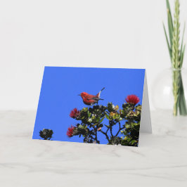 Cartão "Apapane Small Red Pird