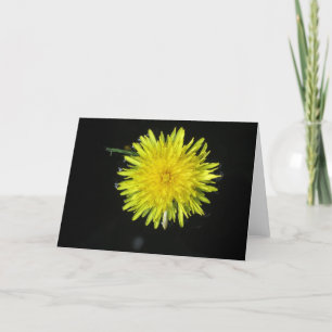 Cartão Apenas Dandy