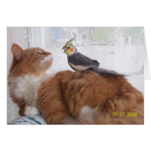 Cartão Apenas deixando cair perto para dizer olá! (Frente Horizontal)