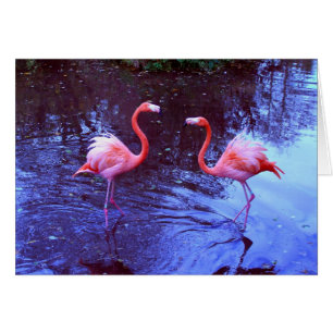Cartão Apenas dois flamingos