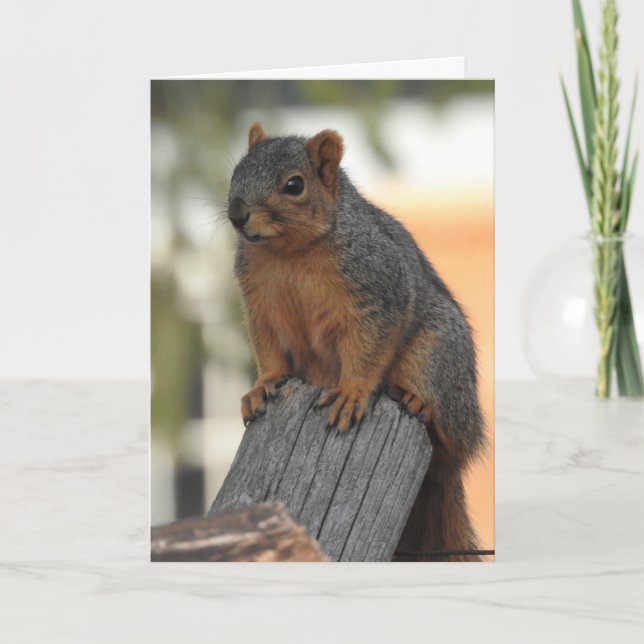 Cartão Apenas entrando para dizer oi (Frente)