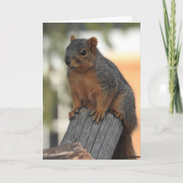 Cartão Apenas entrando para dizer oi