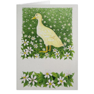 Cartão Apenas olhando