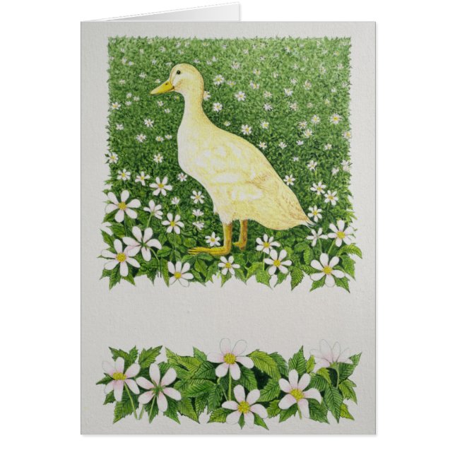 Cartão Apenas olhando (Frente)