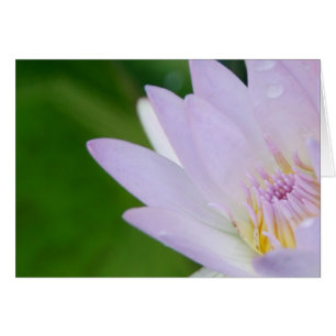 Cartão Apenas para você/Lotus em fotografia