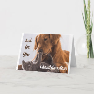 CARTÃO **APENAS PARA VOCÊ, NASCIDA** É ESPECIAL