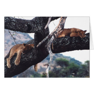 Cartão "Apenas pendurando para fora "