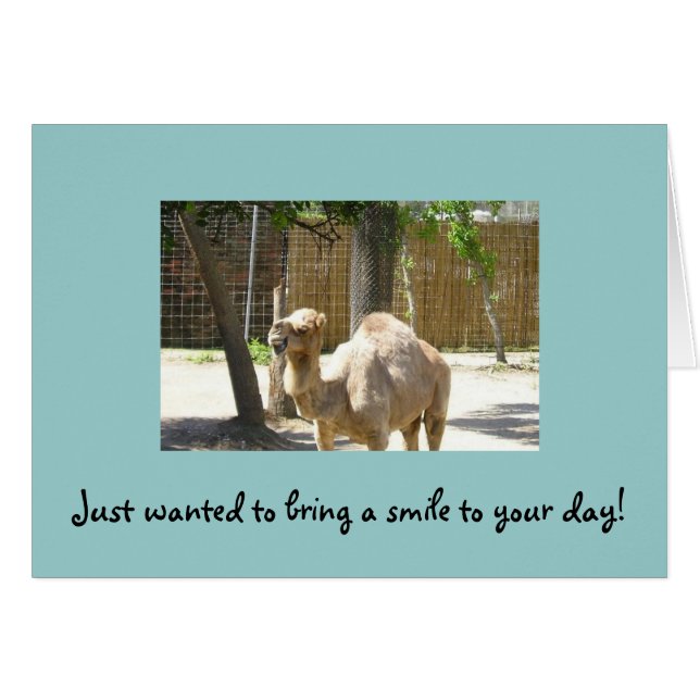 Cartão Apenas quis trazer um sorriso a seu dia (Frente Horizontal)