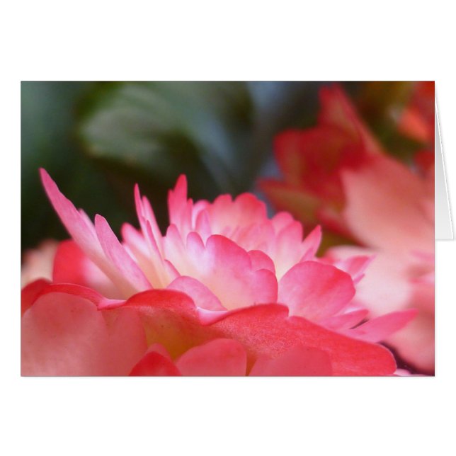 Cartão Apenas Três Coisas (Frente horizontal)