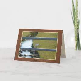 Cartão "Apenas tropeçou nisso" Placa de 5" x 7" com envel