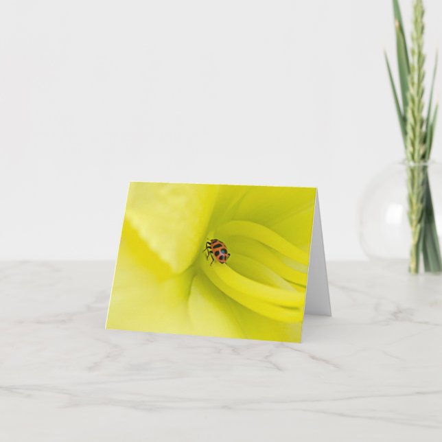 Cartão Apenas um (Frente)