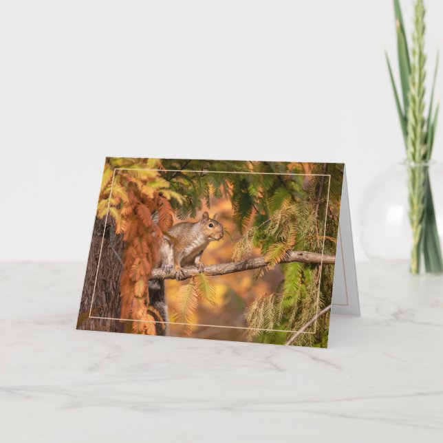 Cartão Apenas Um Esquilo Na Floresta (Frente)