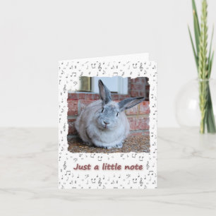 Cartão Apenas uma pequena nota (dentro do vazio)