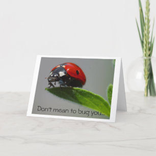 Cartão Apenas verificando