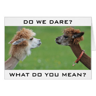 CARTÃO APLACAS PREOCUPOU-SE EM DIZER "FELIZ 40º HUMOR