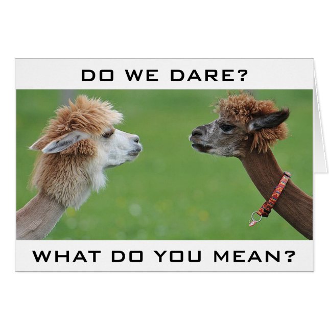 CARTÃO APLACAS PREOCUPOU-SE EM DIZER "FELIZ 40º HUMOR (Frente Horizontal)