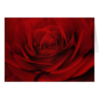 Cartão Aplotomy do coração