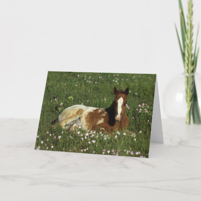 Cartão Appaloosa Foal Laying Down in Flowers (Frente)