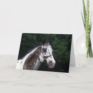 Cartão Appaloosa Horse Headshot 2