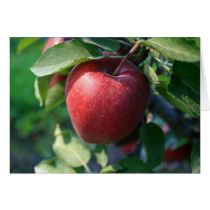 Cartão Apple