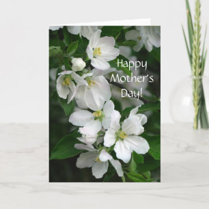 Cartão Apple Blossom Mother's Day Card