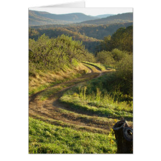 Cartão Apple Orchard, Carolina do Norte