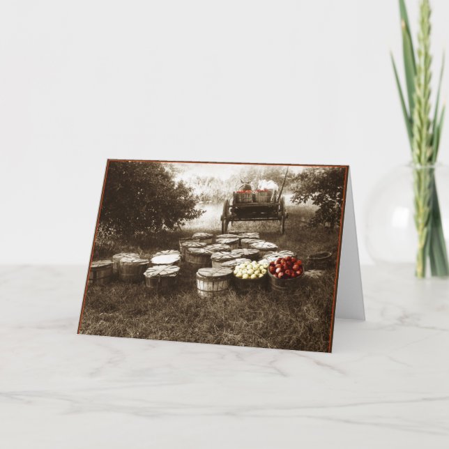 Cartão Apples (Frente)