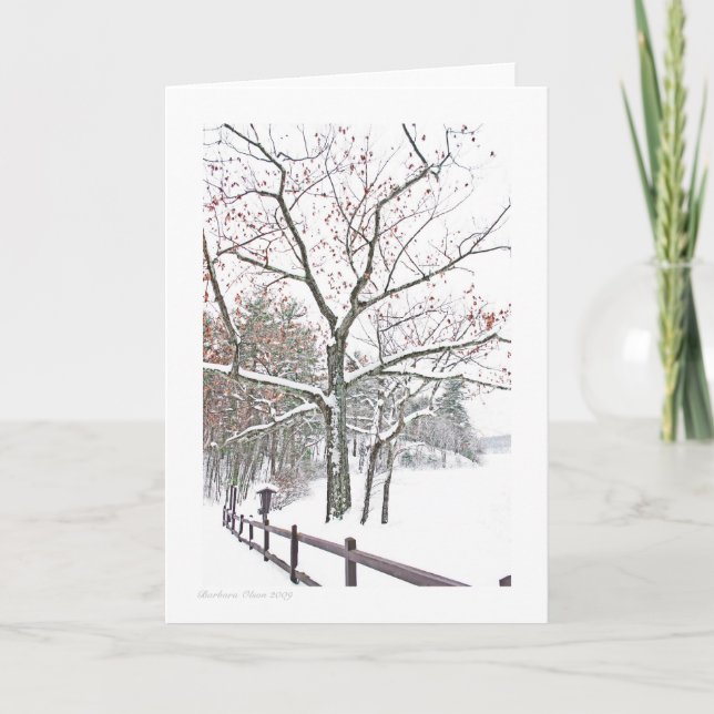 Cartão +Appointments in Nature: Greeting size (Frente)