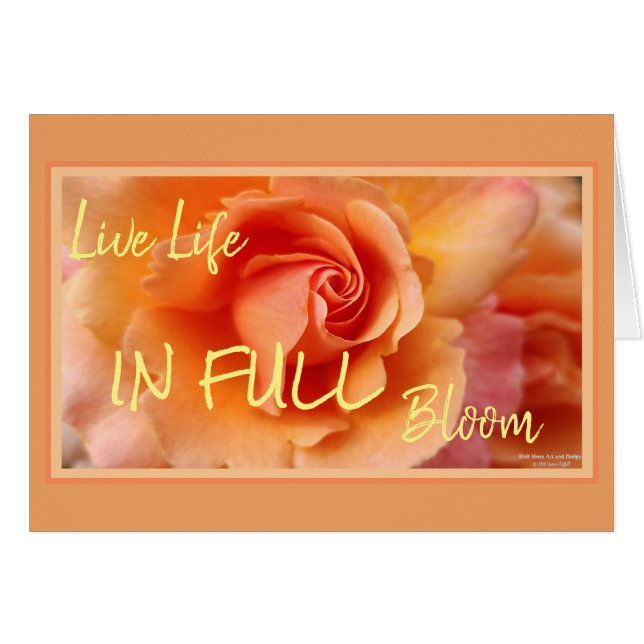 Cartão Apricot Peach Rosa Flower Close (Fechar foto) (Frente Horizontal)