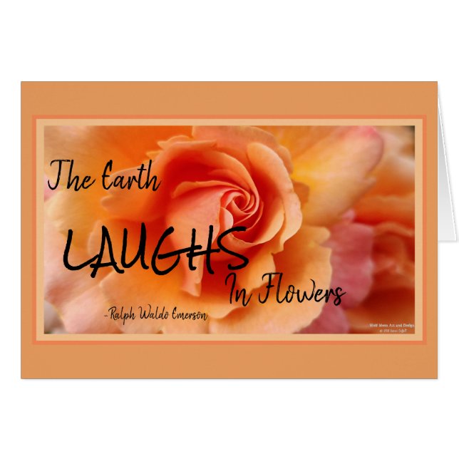 Cartão Apricot Peach Rosa Flower Close (Fechar foto) (Frente Horizontal)