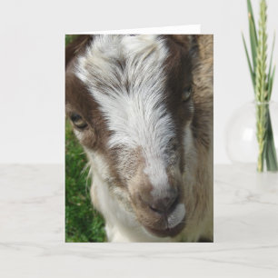 Cartão April La Mancha Nanny Kid