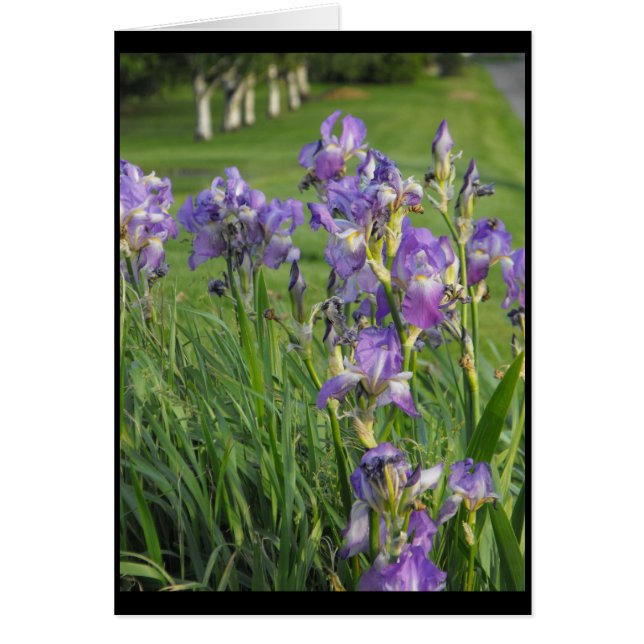 Cartão Apronte assim para o ~ 21 do primavera (Frente)