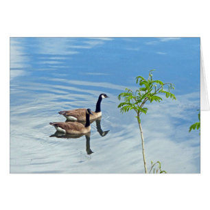 Cartão Aproveitando uma Natação