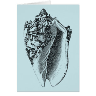 Cartão Aqua Conch Shell