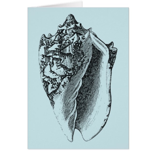 Cartão Aqua Conch Shell (Frente)