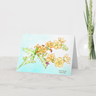Cartão Aquarela botânica de malva-globo de flores silvest