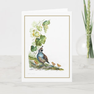 Cartão Aquarela Original Família de Codorniz da Califórni