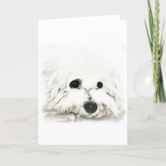 Cartão Aquarelle de cabeça de Bichon