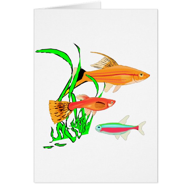 Cartão Aquário (Frente)