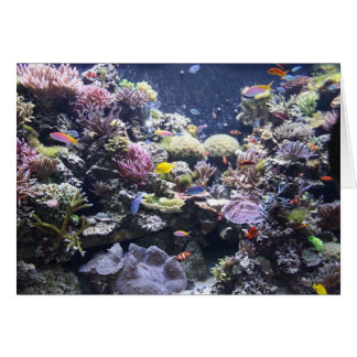 Cartão Aquário