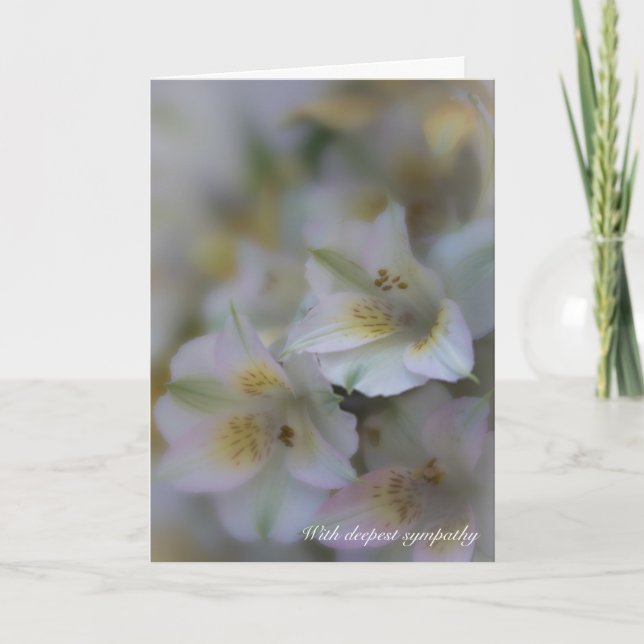 Cartão Aqueles que amam não saem da simpatia Poem (Frente)