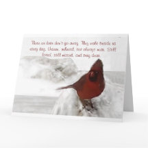 "Aqueles que amamos não vão embora"