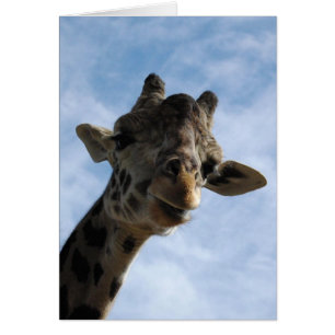 Cartão Aqui está olhando-o!